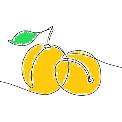 アプリコット/Apricot