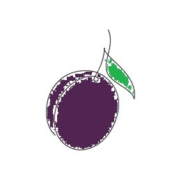 プルーン/Prune